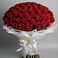 Букет 101 Красная роза Блэк Мэджик в Ашитково