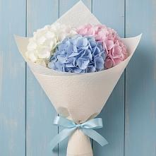 Букет цветов из:  Гортензия в Ашитково