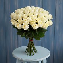 Букет 51 Белая роза Эдлесс Лав в Ашитково