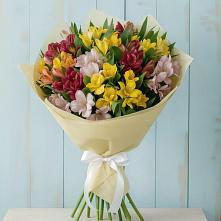 Букет цветов из:  Альстромерии в Ашитково