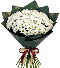 Букет цветов из:  Хризантемы в Ашитково