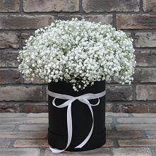 Цветочная композиция из Гипсофила в шляпной коробке в Ашитково