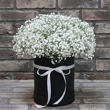 Цветочная композиция из Гипсофила в шляпной коробке в Ашитково