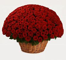 Премиум букет из: Розы в Ашитково